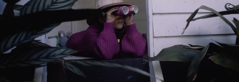 IMCD Cover image girl with pretend binoculars